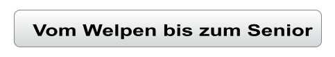 Vom Welpen bis zum Senior