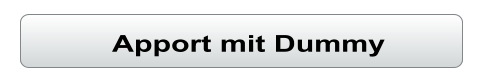 Apport mit Dummy