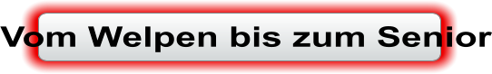 Vom Welpen bis zum Senior