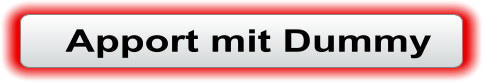 Apport mit Dummy