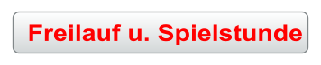 Freilauf u. Spielstunde