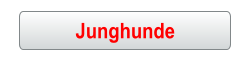 Junghunde