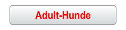 Adult-Hunde