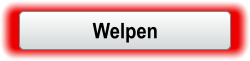 Welpen