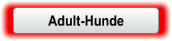 Adult-Hunde